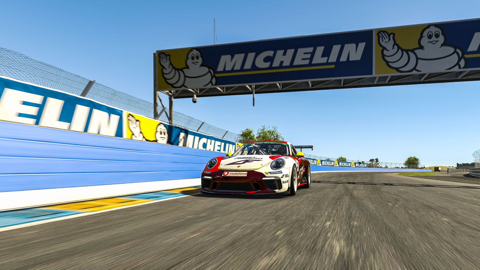 Kooperation Esports Racing Porsche und Michelin, Porsche TAG Heuer Esports Supercup, 2020, Porsche AG