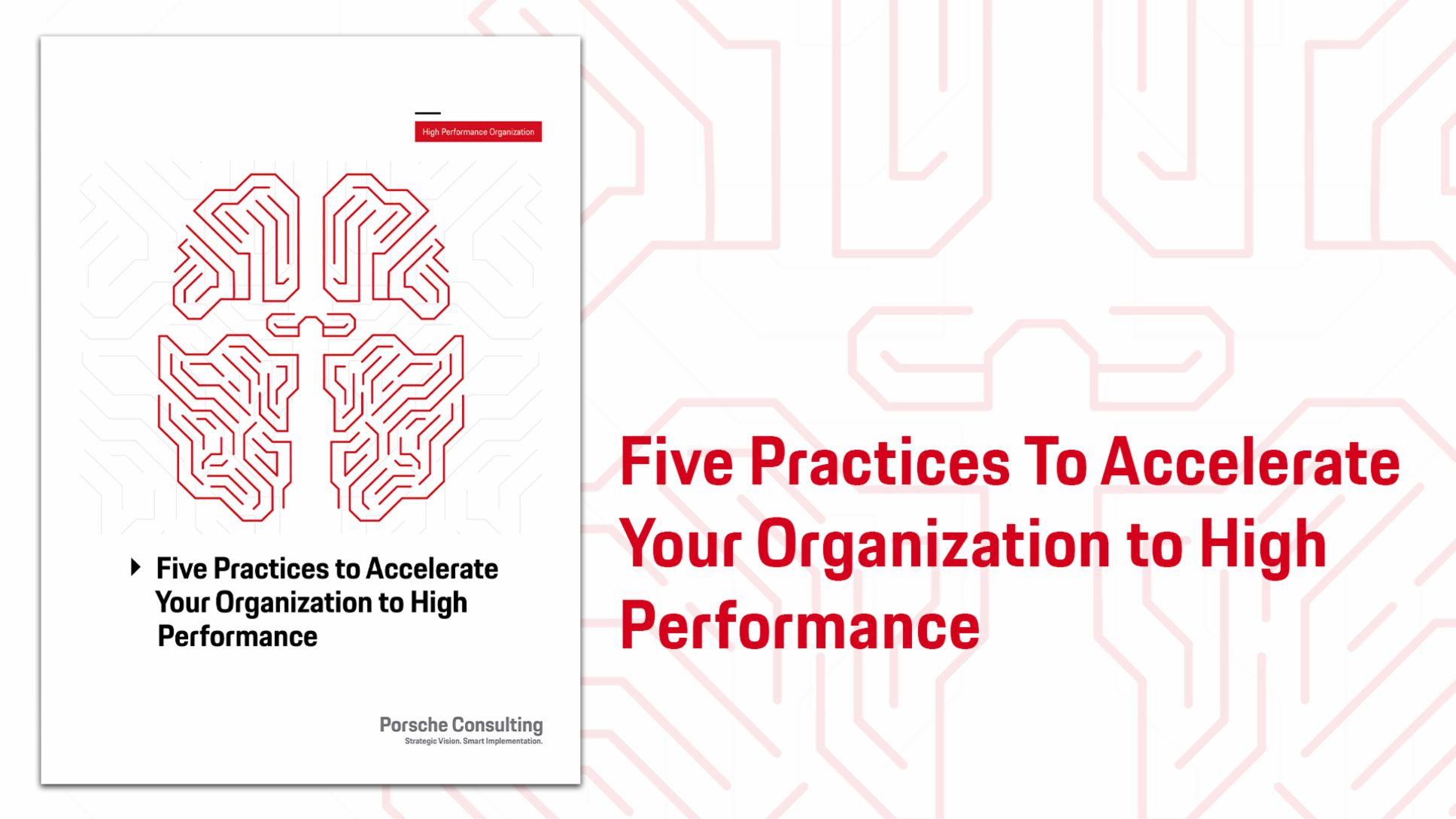 Five Practices to Accelerate Your Organization to High Performance, 2018, Porsche Consulting