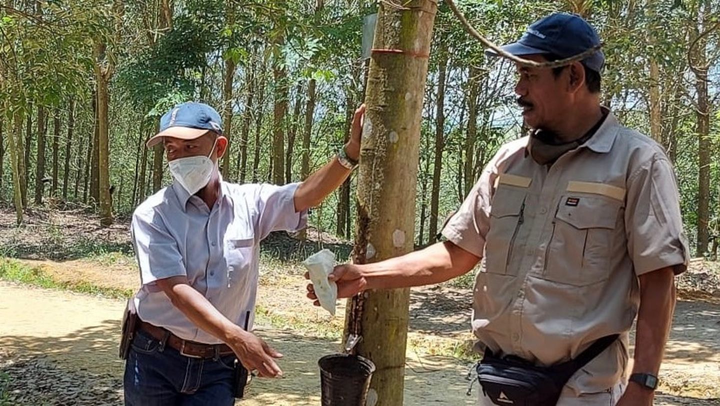 Indonesian rubber plantation farmer, 2021, Porsche AG