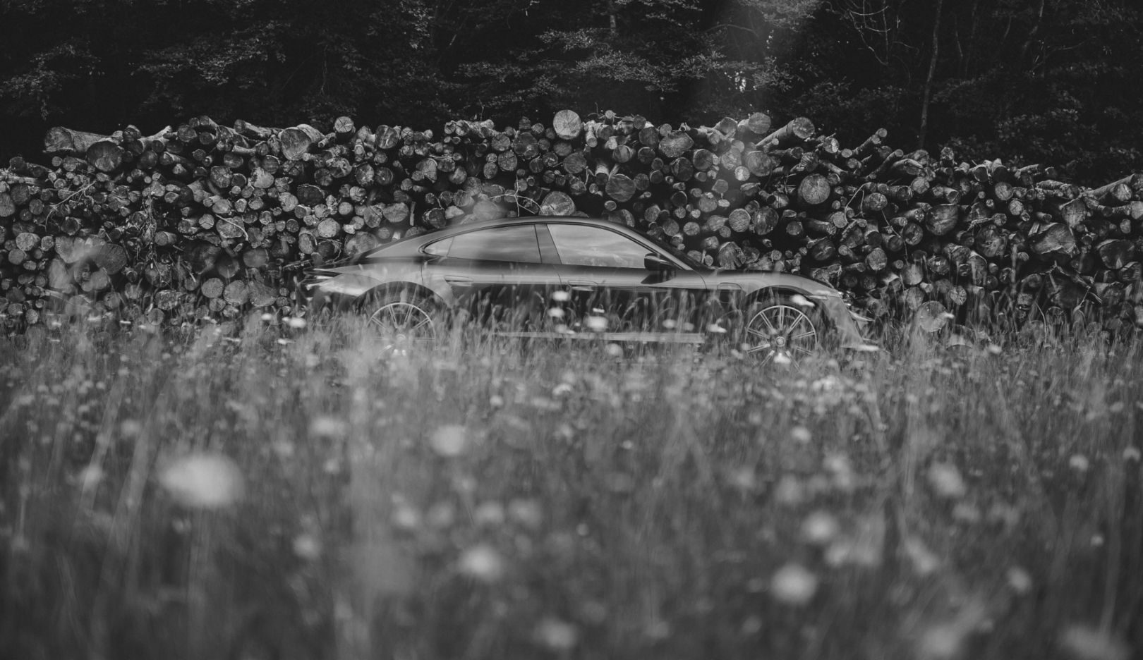 Soloist: hidden behind tall grasses, with the sky reflected in the side window. 