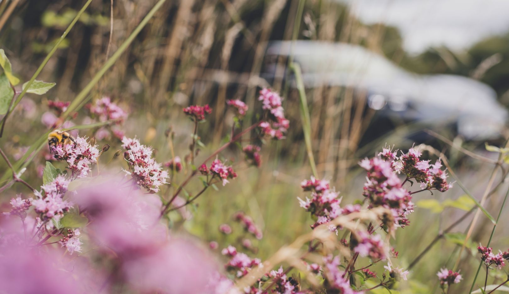 Photographer Amy Shore’s aspirations at the Taycan shoot: “I want to tell my own story.”