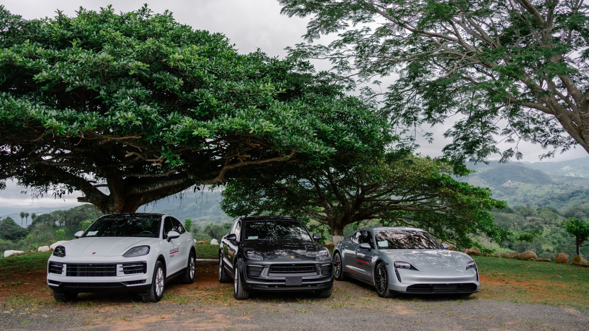  Macan, Cayenne y Taycan el primer vehículo 100% eléctrico de Porsche fueron los modelos más vendidos en Costa Rica.