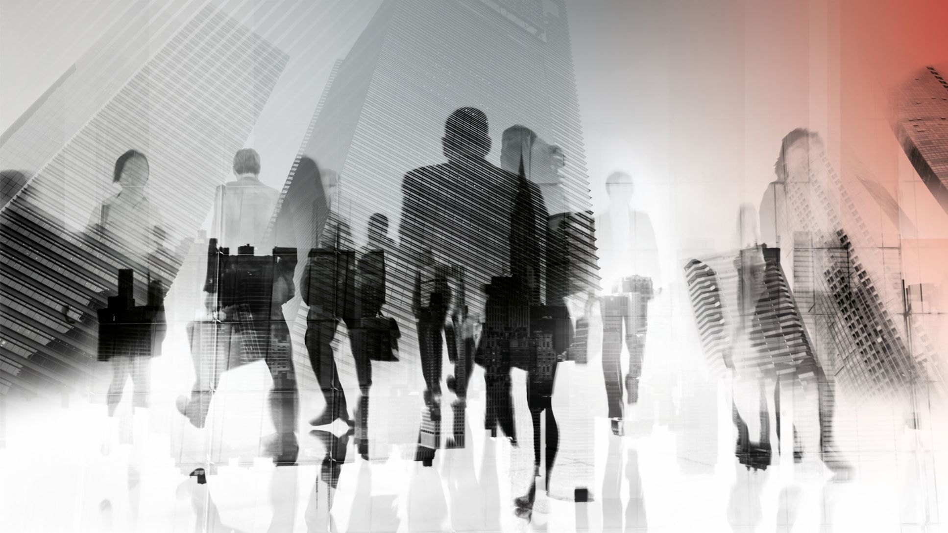 Multiplying Structure by Culture, 2024, Porsche Consulting GmbH