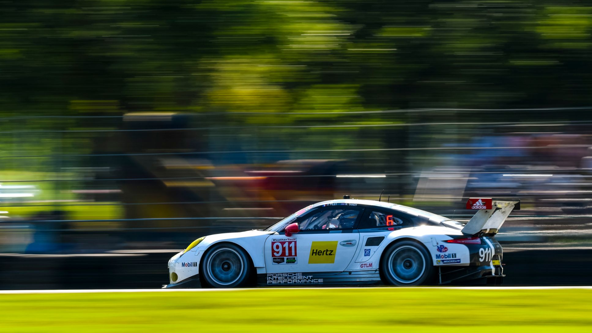 Porsche 911 RSR, IMSA, Virginia International Raceway, Alton, 2016, Porsche AG