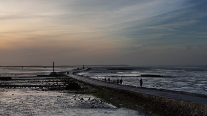 Passage du Gois, Südfrankreich, 2019, Porsche AG