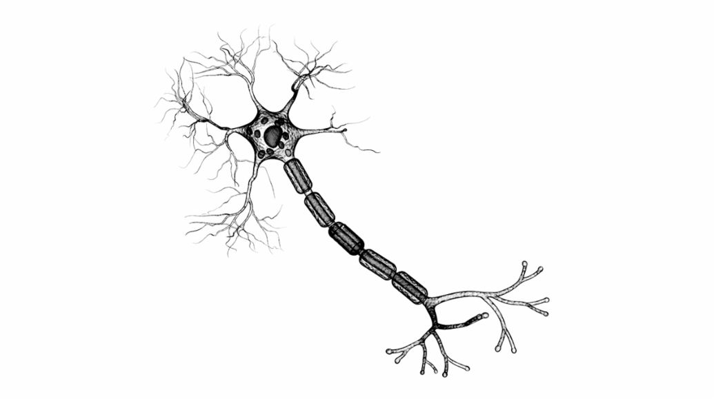 Nerve cell, 2020, Porsche AG