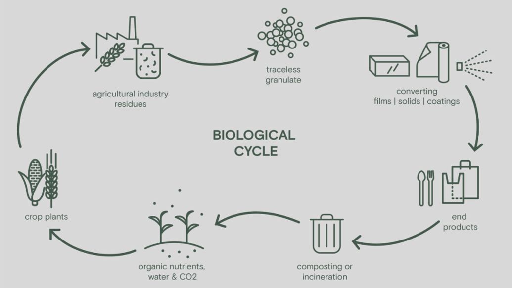 Biological Cycle, 2022, Porsche Consulting