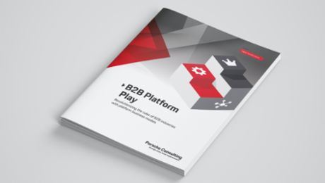 White Paper – B2B Platform Play