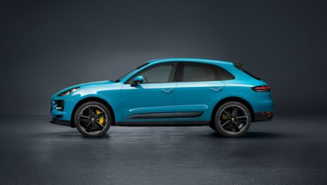 Macan