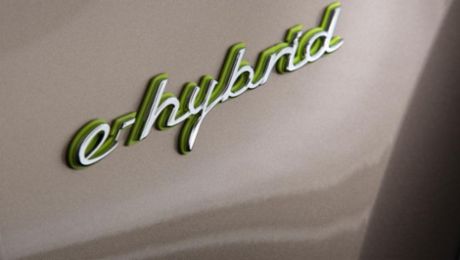 Hybrid models put to the test