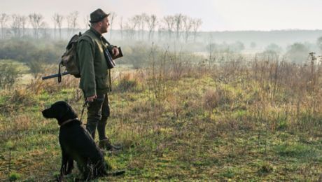 Freie Wildbahn beim Porsche-Werk in Leipzig