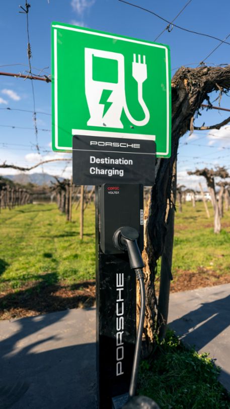 Corredor Verde O'higgins, Región de O'higgins , Chile, 2024, Porsche AG