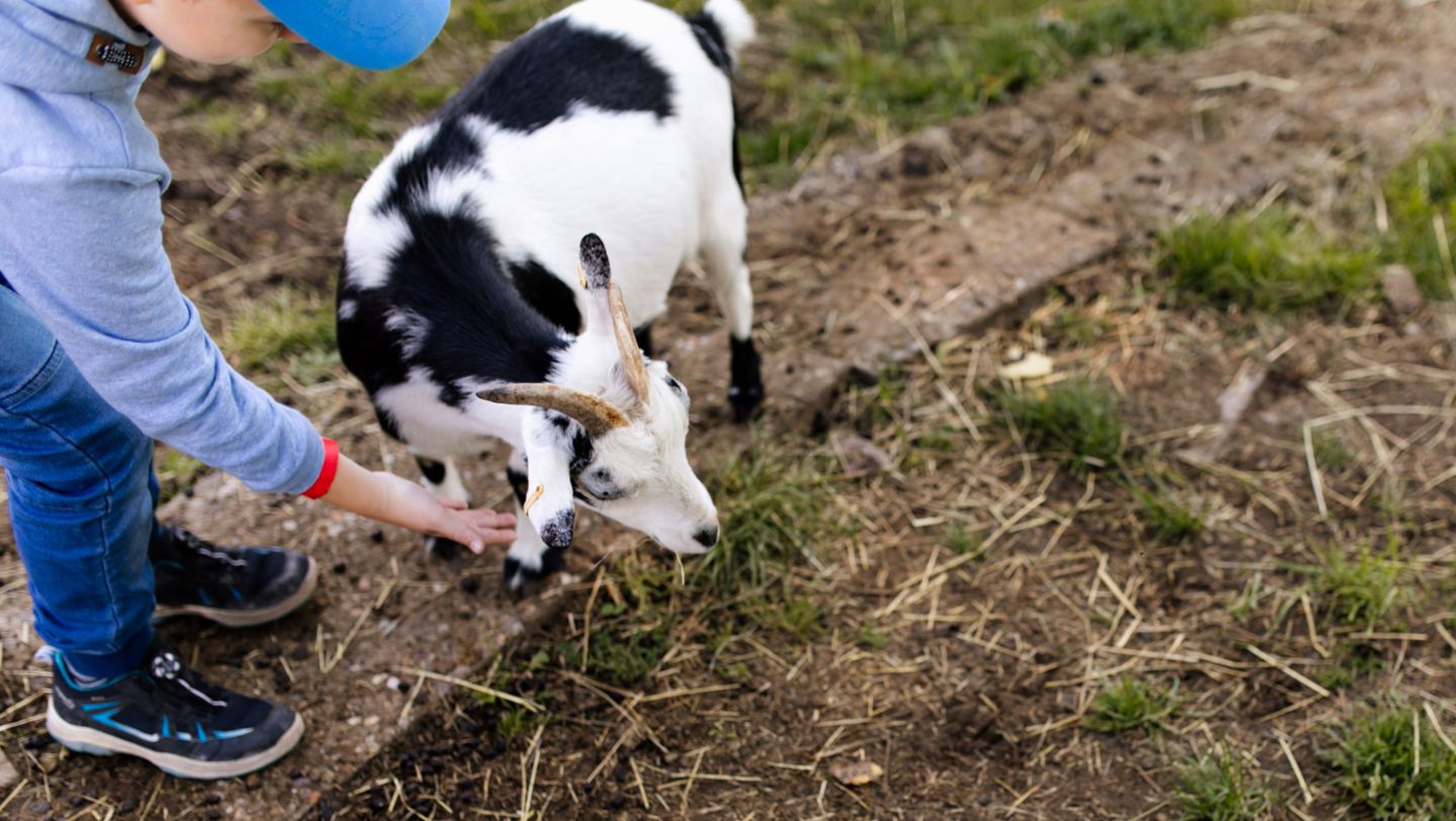Jugendfarm, Porsche Sommerferienbetreuung, Stuttgart, 2024, Porsche AG