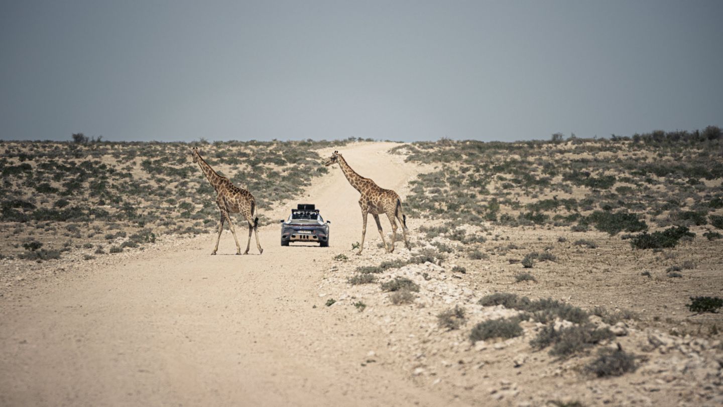 911 Dakar, Namibia, 2024, Porsche AG
