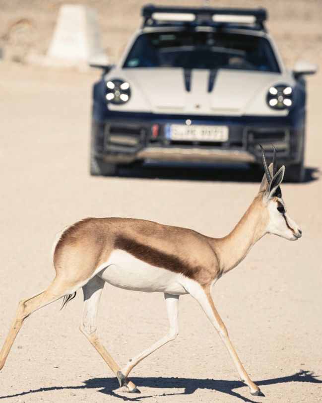 911 Dakar, Namibia, 2024, Porsche AG