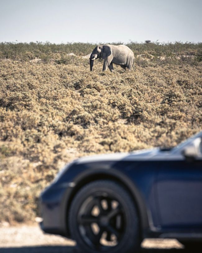 911 Dakar, Namibia, 2024, Porsche AG