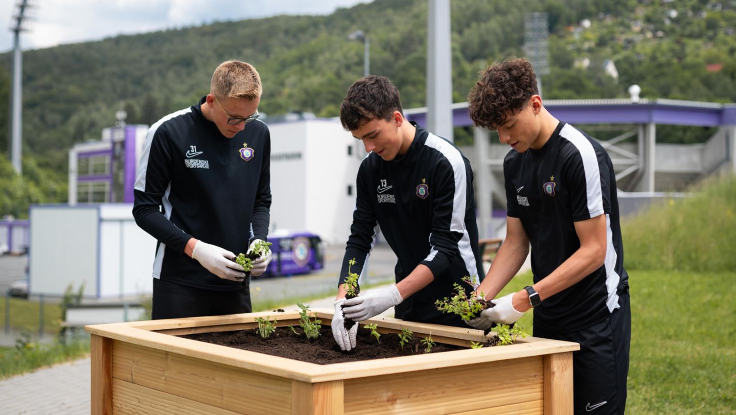 Nachwuchsspieler, FC Erzgebirge Aue, 2024, Porsche AG