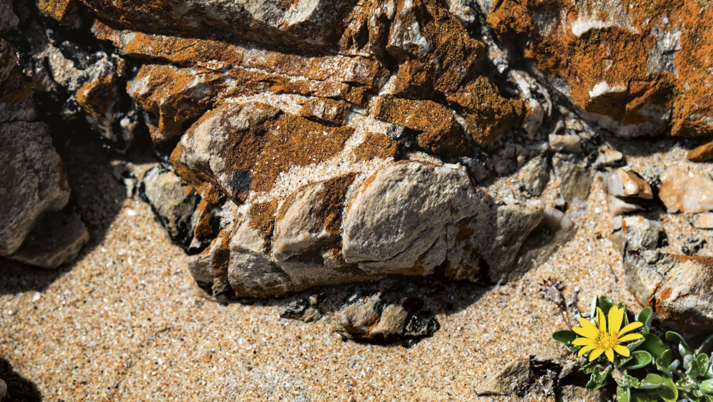 Garden Route, South Africa, 2016, Porsche AG