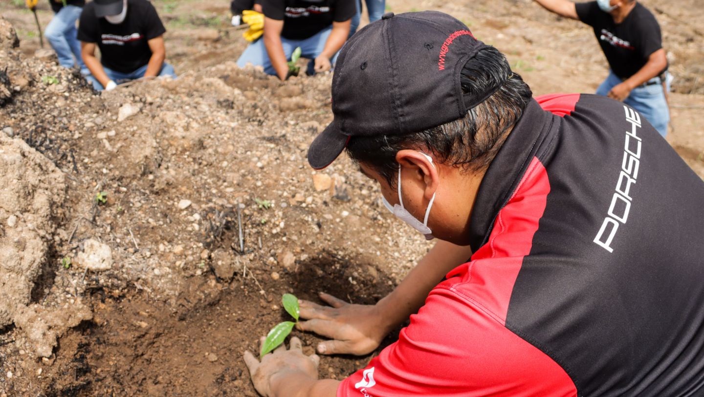 Porsche Guatemala y Grupo Los Tres celebran el Día del Árbol