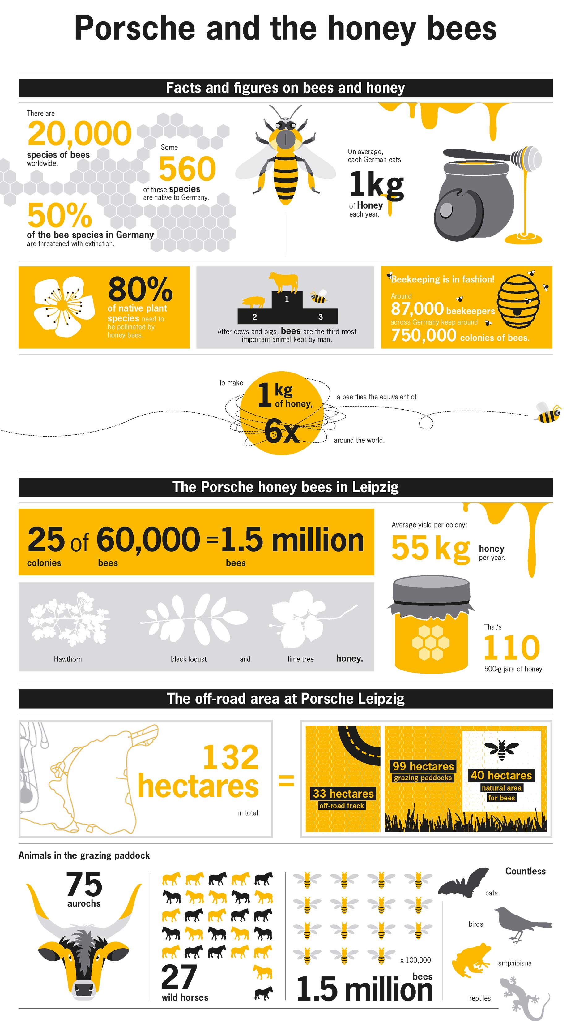 Porsche and the honey beens, infographic, 2017, Porsche AG