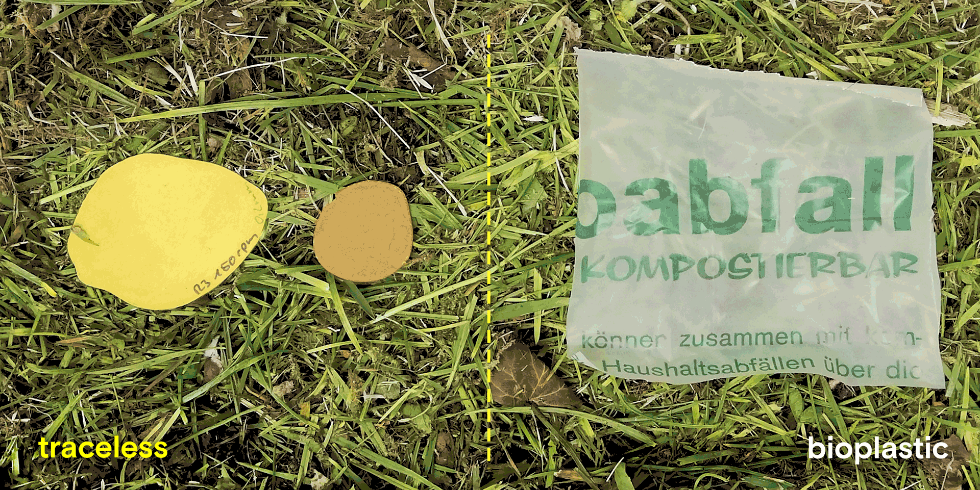 Traceless ist Bioplastik einen großen Schritt voraus in Sachen Nachhaltigkeit. Das zeigt ein Kompostierbarkeitstest: Traceless-Folien (links, Dicke: 0,2 und 1,6 mm) im Vergleich zum handelsüblichen Bioabfallbeutel (rechts, Dicke: 0,03 mm). Credit: Traceless Materials GmbH